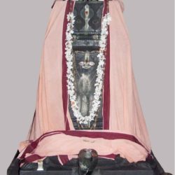 Sri Satyadharma Tirtharu 